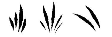 Kedi tırmalama seti. Kara Pençe hayvan tırmığı, yırtık kağıt. Kedi pençesi izi. Siyah arkaplanda vektör illüstrasyonu