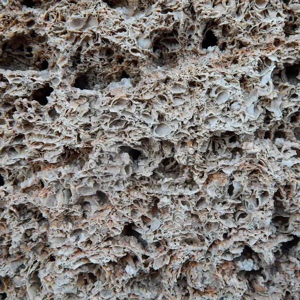 Struktur av porös sten. struktur av skalsten. Högkvalitativt foto — Stockfoto