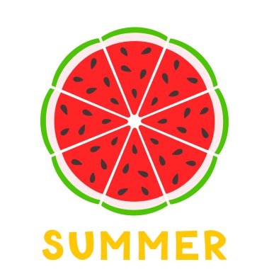 Yaz kartı karpuz dilimi. Yaz meyvesi ve böğürtlen. Web tasarımı için vektör illüstrasyonu, hediye kartları, afiş, reklam, promosyon.