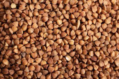 Karabuğday arkaplanı. Tarım kavramı