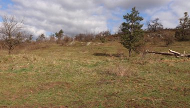 Moravya bölgesi, Podyji Ulusal Parkı, Çek Cumhuriyeti çevresi. Üzüm bağı. Şarap, manzara. Bisiklet gezisi. Dyje nehri üzerindeki köprü. Peyzaj kavramı.