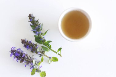 Bahar çiçekleri, Ajuga sürüngenleri, borazanlar. Ajuga sürüngenleri, ereksiyon halindeki çiçek saplarıyla genişleyen daimi bir bitkidir..