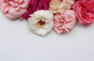 Tarzlı stok fotoğrafı. Bahar kadınsı sahnesi, çiçek kompozisyonu. Dekoratif pankart, güzel kırmızı güllerden yapılmış bir köşe. Beyaz masa arkaplanı, düz yatak, üst görünüm.