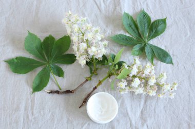 Krema kavanozu ve at kestanesi yaprağı ve bej masadaki çiçekler. Doğal organik kozmetik konsepti.