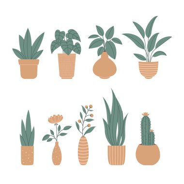 House Plants kümesi düz vektör çizimi
