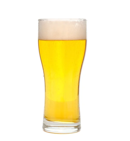 Пиво на белом фоне — стоковое фото