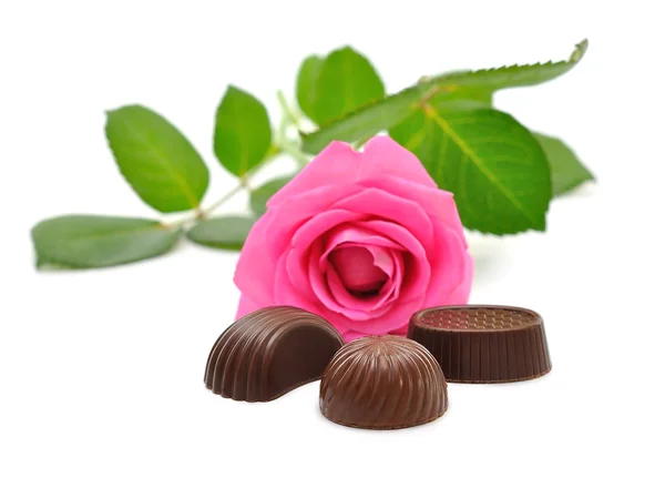 Rosas rosadas y dulces — Foto de Stock