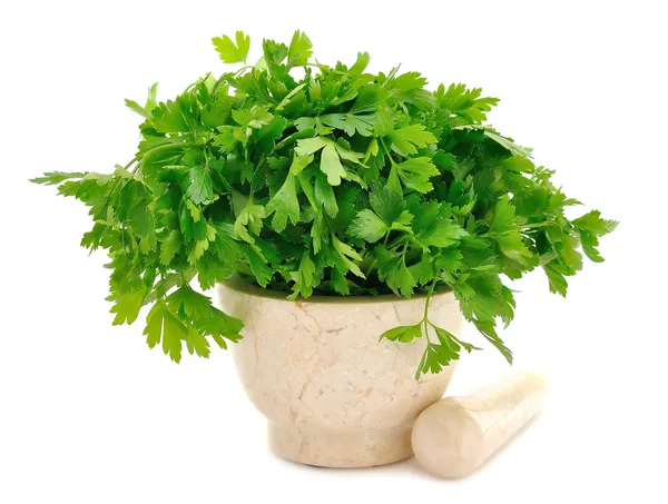 Marble Mortar and parsley — Stock Photo, Image