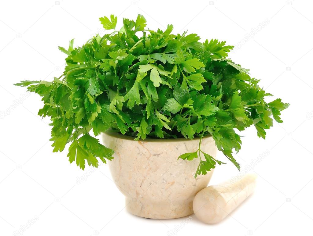 Marble Mortar and parsley