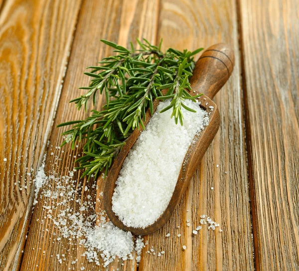 Salz und Rosmarin — Stockfoto