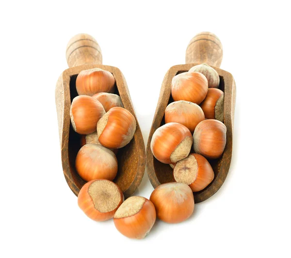 Hazelnuts in a wooden scoop — Stock Photo, Image