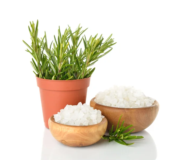 Salt in a wooden bowl and rosemary — Stock Photo, Image