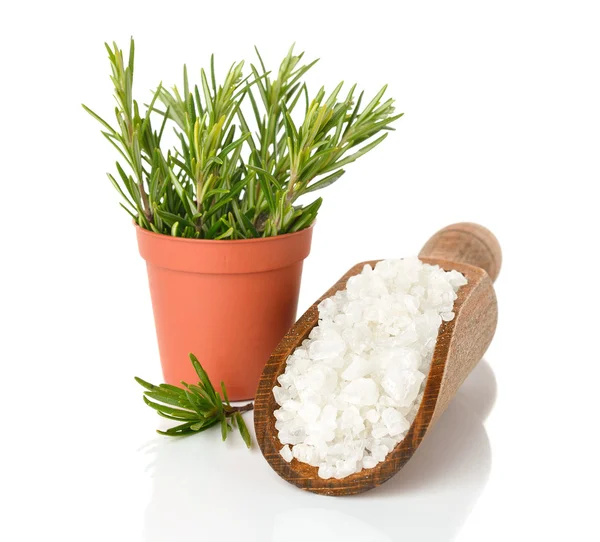 Salt in a wooden scoop and rosemary — Stock Photo, Image