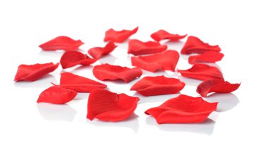 kırmızı gül yaprakları