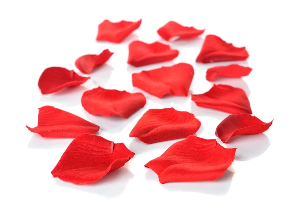 Red rose petals — Stock Photo, Image