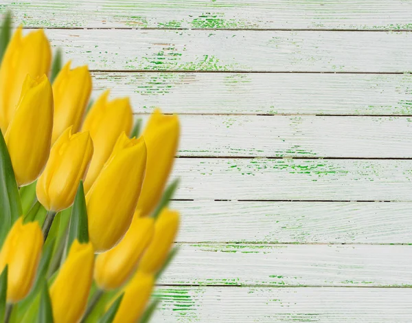 Yellow tulips on a wooden background — Stock Photo, Image