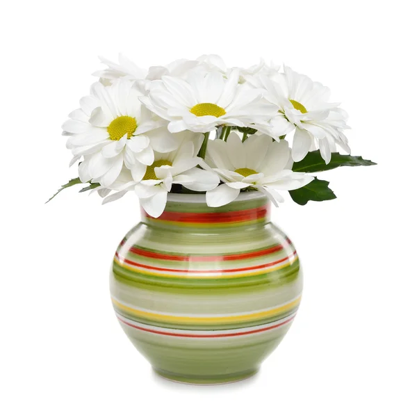 Fleurs blanches dans un vase sur fond blanc — Photo