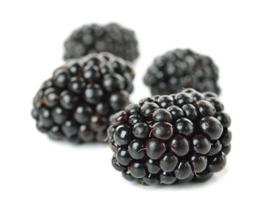 Beyaz arkaplanda izole edilmiş böğürtlen