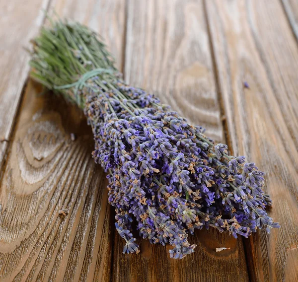 Bos van lavendel — Stockfoto