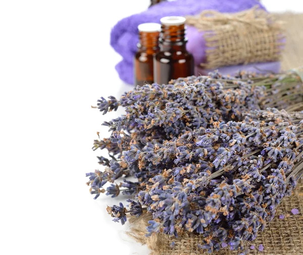 Mazzo di lavanda — Foto Stock