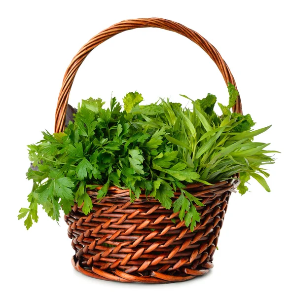Ervas frescas em uma cesta — Fotografia de Stock