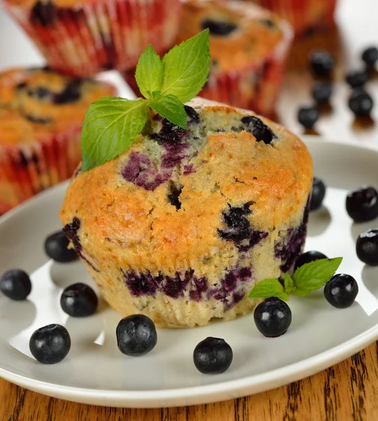 Blåbärsmuffins — Stockfoto