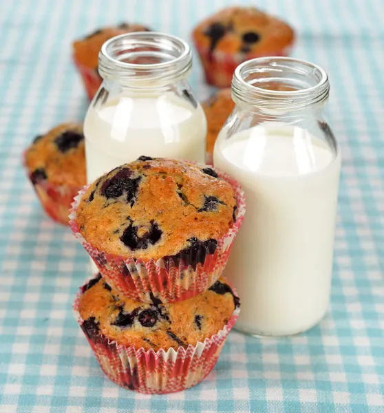 Muffins de mirtilo e leite — Fotografia de Stock