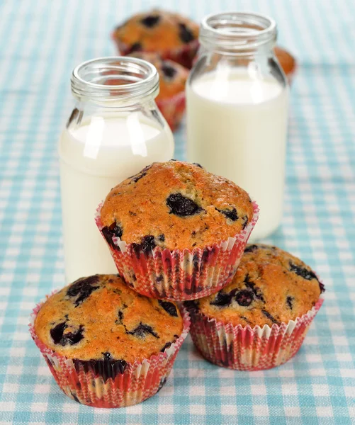 Blueberry muffins en melk — Stockfoto