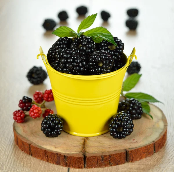 Brombeeren — Stockfoto