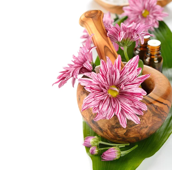 Holzmörtel und Blumen — Stockfoto