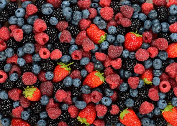 Various berries — Stock Photo, Image