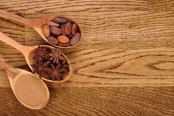 Tarçın, anason ve kakao çekirdekleri içinde tahta kaşıklar — Stok fotoğraf