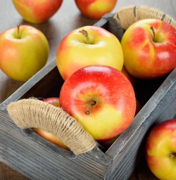 Apples — Stock Photo, Image