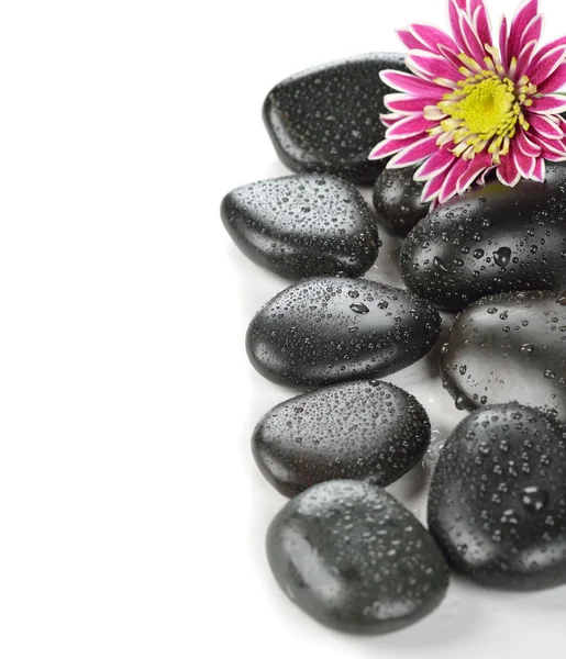 Wellness stones — Stockfoto