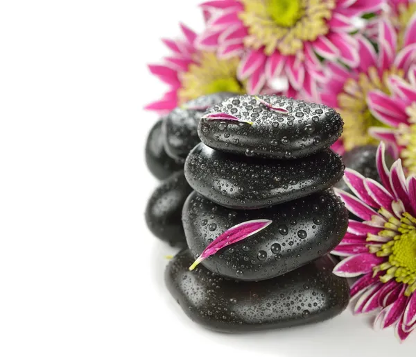 Wellness stones — Stockfoto