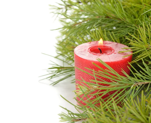 Candle and green twigs — Stock Photo, Image