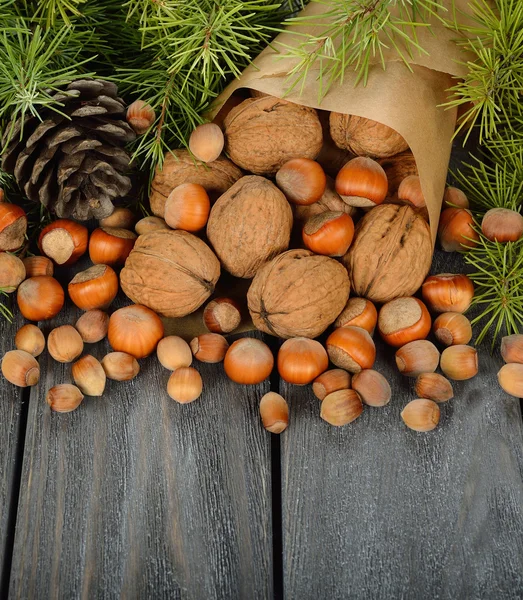 Орехи и зеленые ветки — стоковое фото