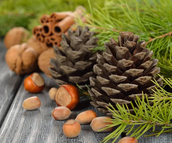 Cones and nuts — Stock Photo, Image