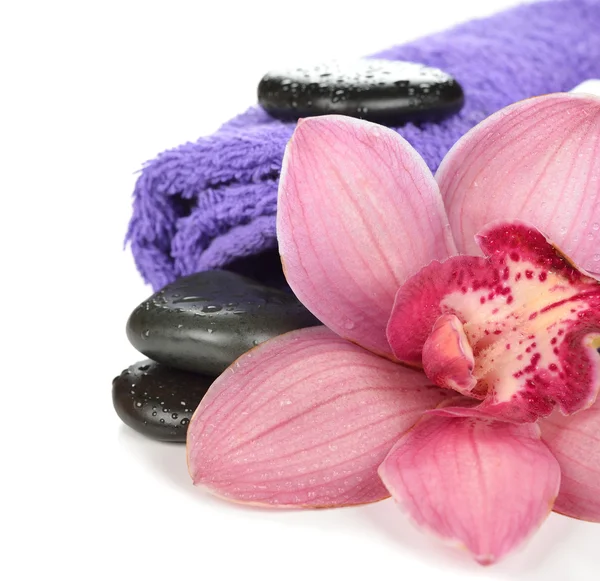 Piedras de masaje y orquídea — Foto de Stock