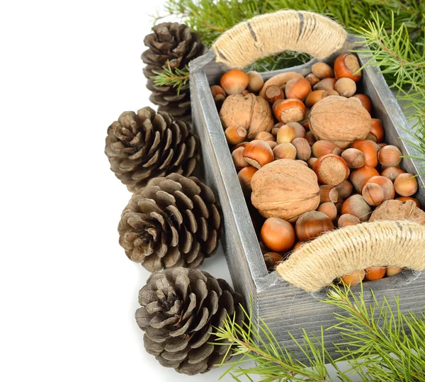 Various nuts in a wooden box Stock Image