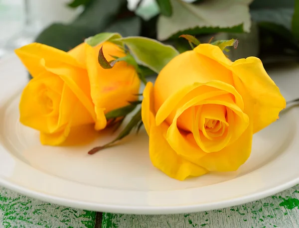 Желтая роза на белой тарелке — стоковое фото