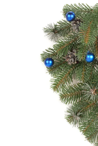 Christmas twig — Stock Photo, Image