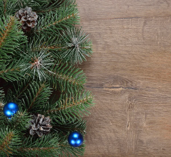 Christmas twig — Stock Photo, Image