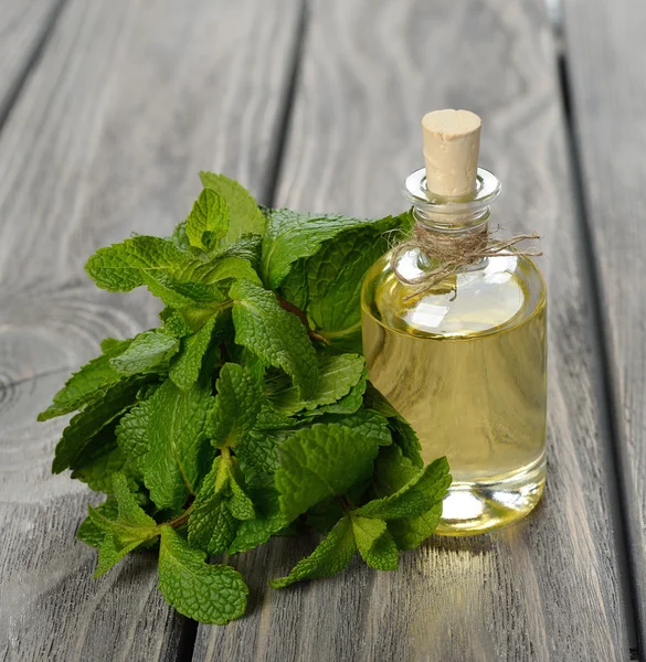 Aceite esencial de menta — Foto de Stock