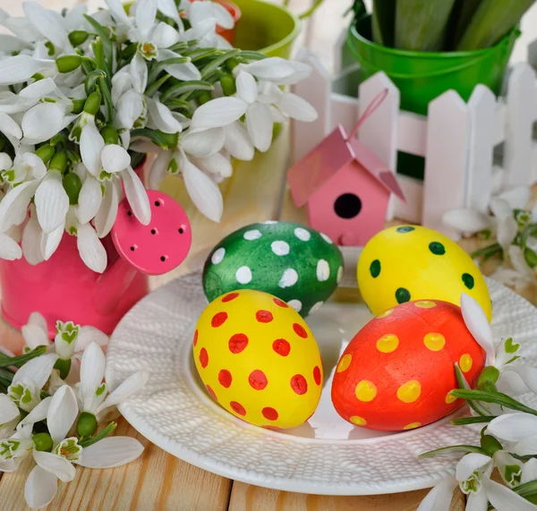 Snowdrops およびイースターの着色された卵 — ストック写真