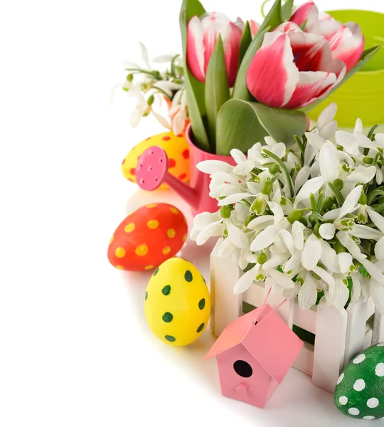 Sněženky a velikonoční barevné vejce — Stock fotografie