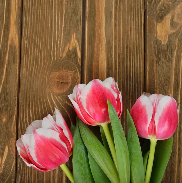 Tulips on a wooden background — Stock Photo, Image