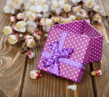 Mor kutu ve dalları