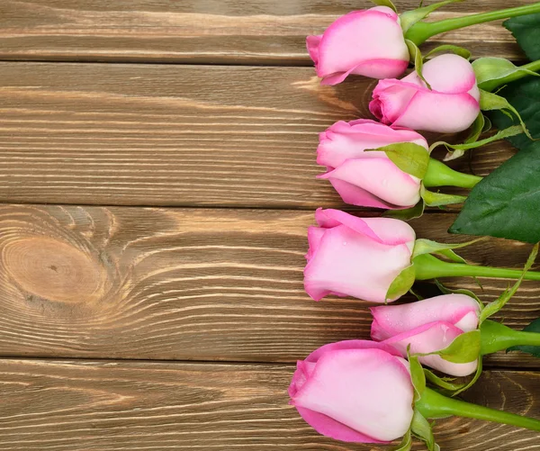 Rosas rosadas — Foto de Stock