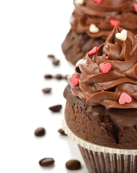 Chocolate cupcakes — Stock Photo, Image